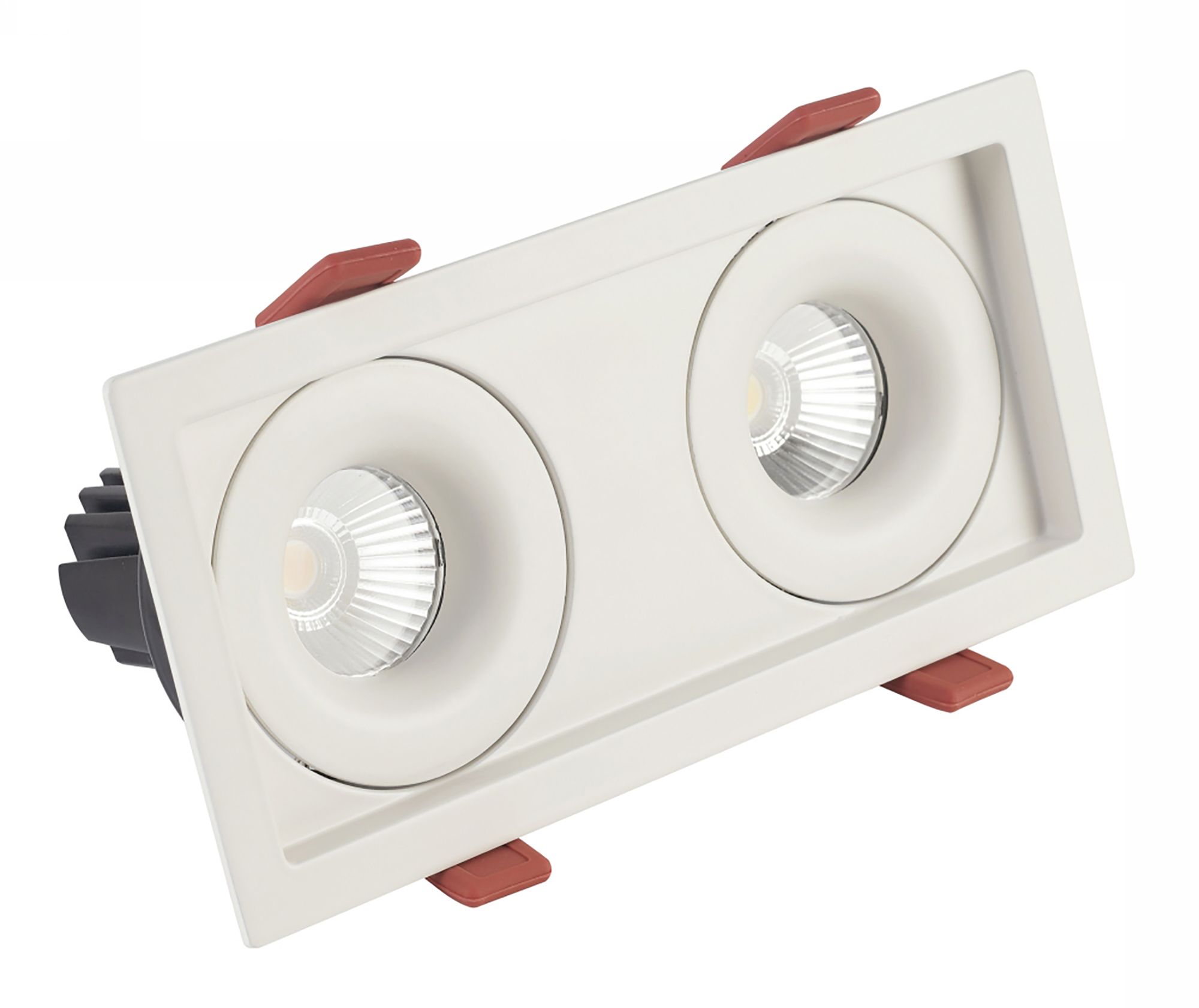 BUZZ 12-2 Recessed Ceiling Luminaires Dlux Multi-Head Recess Ceiling